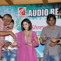 Anwar Movie Audio Function - Pictures | Picture 95864